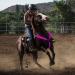 FM2018XSL Horse Harness LED Breastplate - Luminous Reflective Belt for Equestrian Safety | Pink Outdoor Gear - Buy Online on SooperMarket.com