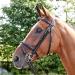 John Whitaker Barton Bridle - Raised Flash Havana Pony | Premium Equestrian Gear for International Shipping - Buy Online on SooperMarket.com