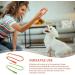 Vigorola 2 pcs Dog Whistle with Lanyard ABS Plastic Dog Training Whistles for for Recall and Pets Training(Orange + Light Green) - Buy Online on SooperMarket.com