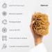 Naroa Natural Sea Sponge for Bathing | Firm Exfoliating Body Scrubber | Eco-Friendly & Renewable | Medium Size | Men & Women - Buy Online on SooperMarket.com