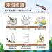 Taiwan unique tea Oolong tea formulated by competition grade tea masters-Lishan 75g*6 - Buy Online on SooperMarket.com