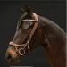 PresTeq FaySport Snaffle Bridle brown warmblood extra