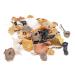 West Coast Wild Foods  Dried Wild Mushrooms (Mix 1oz - 28g) Mix 1 Ounce - 28g - Buy Online on SooperMarket.com