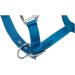 RL24 Halter with Plush Padding - BASICLINE in 6 Colors for Shetty Pony Thoroughbred Warmblood | Turquoise Shetty - Buy Online on SooperMarket.com