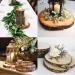 Large Unfinished Wood Slices for Crafts and Centerpieces | 7-8.5 Inches | Natural Wood Slabs - Buy Online on SooperMarket.com