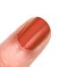Orly Nail Polish Plot Twist - Fall Nail Color Collection | In the Conservatory | International Shipping Available - Buy Online on SooperMarket.com