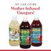 Organic Raw Apple Cider Vinegar with Mother - 16 fl oz | Dynamic Health Laboratories - Buy Online on SooperMarket.com