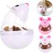 Auxsooul Cat Interactive Toys - 2-Pack Snackball & Food Dispenser for Cats - Intelligence & Treat Play - Buy Online on SooperMarket.com