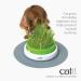 Catit Play Track Super - Ultimate Super Circuit & Grass Planter for Cats | International Shipping - Buy Online on SooperMarket.com