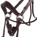 Buy Discussed Sunna Bridle - Anatomically Shaped Durable Multifunctional & Comfortable for Warmbloods | International Shipping Available - Buy Online on SooperMarket.com