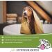 Lillis Naturals Dog Shampoo with Natural Herbs - 500ml for Skin & Coat Care | International Shipping - Buy Online on SooperMarket.com