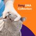 ORIVET Cat Breed DNA Test - 1 Pack | Comprehensive Genetic Health Screening & LifePlan | At Home Cheek Swab | Accurate & Fast Results - Buy Online on SooperMarket.com