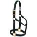 WEAVER Leather Non-adjustable Halter Black Large Horse