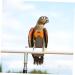 PopetPop Flying Bird Diapers - Reusable Cotton Diaper Pants for Small Birds Pigeons & Parrots | International Shipping - Buy Online on SooperMarket.com