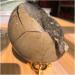 FUERLI Natural Stones and Minerals Large Beautiful Dragon septarian geode Egg Around 200-1000g Home Decoration Very (Size : 400-500g) HOMEZHOU (Size : 500-600g) - Buy Online on SooperMarket.com