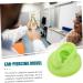 Healeved 2pcs Colored Earring Molds Teaching Aid - Green 3D Human Ear Model - Buy Online on SooperMarket.com