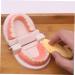 Frcolor Early Dental Education Role-Playing Toys | Wooden Puzzle for Kids & Toddlers - Learn to Brush Teeth Fun! - Buy Online on SooperMarket.com
