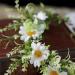 JSGHGDF Flower Headbands Women Bride Flower For Wedding Party Supply Garlands Wreath Headbands White - Buy Online on SooperMarket.com