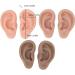 Artificial Ear Model Set - 3 Pairs Soft Human Ear Models in 3 Colors for Easy Home Use - Buy Online on SooperMarket.com