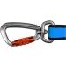 Non-stop Dogwear Bungee Leash LTD - 2m Canicross Leash for Dogs | Blue | International Shipping - Buy Online on SooperMarket.com