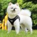 Buy Reflective Soft Padded Harness & Cat Dishes for Small Dogs & Puppies | Air-Mesh Leash Included | Fits Chest 29-33cm - Black - Buy Online on SooperMarket.com