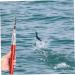 Mini Pen Fishing Rod - Portable Rotating Wheel | Winter Outdoor Fishing Accessories - Buy Online on SooperMarket.com