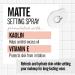 Valjean Labs Matte Makeup Setting Spray - Long-Lasting Matte Finish with Koalin & Vitamin E - Hydrating, Oil-Control Formula - Paraben & Cruelty Free - Made in USA (6 oz) - Buy Online on SooperMarket.com