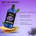 Lavender Extract Body Wash - Moisturizing Skin Cleanser for Women | Lavender Essential Oil Body Wash - Buy Online on SooperMarket.com