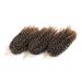 Buy 3 Packs Eunice Hair Marlybob Kinky Curl Hair Extensions - 8 Inch Crochet Braids (1B 27) - Curly Corrugated 20.32 cm for International Shipping - Buy Online on SooperMarket.com