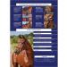 Collegiate ComFiTec Patent Snaffle Bridle - Brown Cob | Premium Quality Equestrian Gear for International Shipping - Buy Online on SooperMarket.com