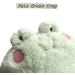 DXDE4U Frog Plush Pillow - 15 * 14 inch Stuffed Animal Hugging Pillow Toy for Kids & Adults - Cute Home Decoration & Gift Idea - Buy Online on SooperMarket.com