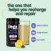 Vega Sport Post-Workout Recovery Accelerator Apple Berry (20 Servings) Vegan Non Dairy Gluten Free BCAAs 540g (Packaging May Vary) Apple Berry 20 Servings (Pack of 1) - Buy Online on SooperMarket.com