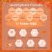 Modelones 20 Colors Gel Nail Polish Kit - Fall Winter Collection | Gold, Orange, Yellow, Brown Shades | Bond Primer, Glossy & Matte Top Coat | DIY Nail Art | Halloween Gift Set - 24 PCs - Buy Online on SooperMarket.com