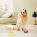 4 Packs Dog Buttons for Communication and Training Recordable Dog Buttons Pet Command Buzzer 30 Second Record & Playback Speech Training Buttons for Dog Cat Training Interactive Toy - Buy Online on SooperMarket.com