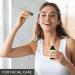 Argan Oil Organic 100ml - Argania Spinosa - Argan Oil - Cold Pressed - 100% Natural - Argan Oil in Light Protection Glass Bottle - Skin Care - Hair Care - Organic Oil for Hair and Skin - Beauty - Buy Online on SooperMarket.com