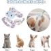 Adjustable Rabbit Leash & Cat Dishes - Perfect for Small Pets | International Shipping - Buy Online on SooperMarket.com