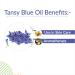 Crysalis Tansy Blue (Tanacetum Annuum) Oil |100% Pure & Natural Undiluted Essential Oil Organic Standard Tansy Oil For Cleansing Skin & Pores Reduce Redness Repair Damaged Skin - (15 ML) - Buy Online on SooperMarket.com