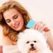 SKYPIA Pet Lice Comb Set for Dog Cat - Flea Tick Dandruff Remover & Grooming Supplies (4 Pack) - Buy Online on SooperMarket.com