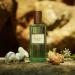 Gucci Memoire Dune Odeur Edp Spray Unisex 3.3 fl oz clear 3.3 Fl Oz (Pack of 1) - Buy Online on SooperMarket.com