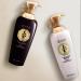 DAENG GI MEO RI Ki GOLD Premium Shampoo 500ml | Anti Hair Loss & Scalp Protection | Natural Medicinal Herbal Formula - Buy Online on SooperMarket.com