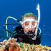 TUSA SP-0101 Hyperdry Elite II Diving Snorkel - Black/Fishtail Blue - Buy Online on SooperMarket.com