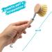 Chinchilla Rinse Brush - Eco-Friendly Beech Wood Kitchen Brush with Natural Fiber Bristles | Includes 3 Replaceable Heads | Plastic-Free & Durable - Buy Online on SooperMarket.com