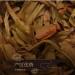 Pu-erh tea 2016 Xiaguan Ba Wai Cake Tea 357g Raw - Buy Online on SooperMarket.com