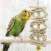 CAMITER 8 Packs Bird Toys Parrots Cage Toys Natural Wood Hanging Swing Shredding Chewing Perches Parrot Toy Parrot Bite Toy for Budgie Parakeet Cockatiel Macaw - Buy Online on SooperMarket.com