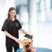 No Lifting Short-Sleeved Waterproof Pet Grooming Uniform for Men - Antistatic 2 Pockets Size M - Ideal for Dog Groomers & Cosmetologists (Pack of 1) - Buy Online on SooperMarket.com