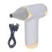 Alomejor Mini Fan Portable Hair Dryer for Pets 4 Levels Wind 1100mAh Battery Bladeless Design for Cats Dogs and Other Pets (Silver)