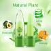 2-Pack Aloe Vera Lipstick: Long-Lasting, Nutritious & Moisturizing Lip Care | Magic Color Changing Crystal Jelly Lipstick | Matte Makeup Tinted Lip Balm (Green A) - Buy Online on SooperMarket.com