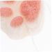 Mikinona 1pc Bath Cotton Body Wash Bath Shower Balls Body Puff Bath Pouf Shower Sponge Exfoliating Body Exfoliating Sponge Sponges Hydrophilic Polyurethane Face Washbasin - Buy Online on SooperMarket.com