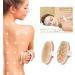 Spclsim Bath Brush Set - Body Exfoliating & Back Cleaning Scrubber with Long Wooden Handle - Buy Online on SooperMarket.com