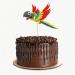 Colorful Parrot Birthday Party Cupcake Picks - 14 Pack Decorations for Tropical Parties - Buy Online on SooperMarket.com